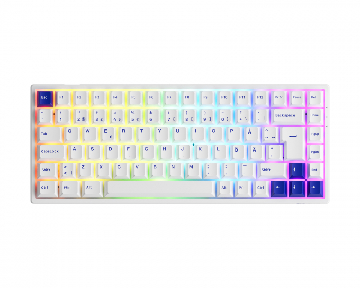 Akko 3084B Blue/White ISO Trådlöst Tangentbord [Akko CS Jelly Black]